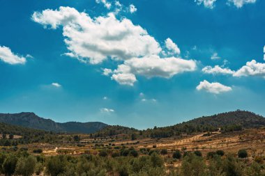 İspanya kırsalında, dağların yamaçlarında zeytin ve badem ağaçları var. Mavi gökyüzünün altında bulutlar var..