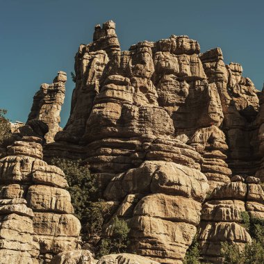 Kireç taşı oluşumları, mavi gökyüzünün altında yeşil bitki örtüsü olan sütunlar gibidir. El Torcal de Antequera Ulusal Parkı. Endülüs. İspanya.