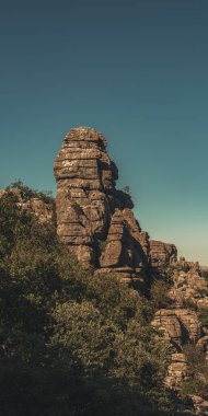Mavi gökyüzünün altındaki yeşil bitki örtüsü arasındaki kireçtaşı kaya oluşumları. El Torcal de Antequera Ulusal Parkı. Endülüs. İspanya.