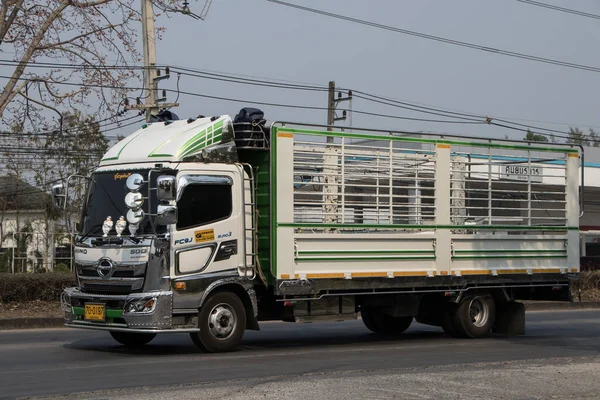 Chiangmai Thailand Februari 2023 Soldaat Hino Cargo Truck Foto Weg — Stockfoto