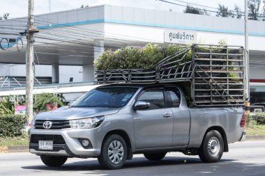 Chiangmai, Tayland - 29 Ağustos 2023: Özel Kamyonet Yeni Toyota Hilux Revo Rocco. 1001 numaralı yolda, Chiangmai şehrinden 8 km uzakta..