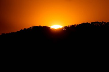 Gün batımında dağın tepesindeki ağacı kapat.