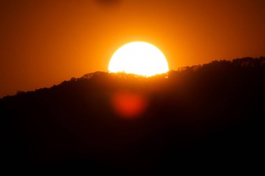 Gün batımında dağın tepesindeki ağacı kapat.