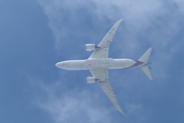 Chiangmai, Tayland - 8 Temmuz 2024: Boeing 787-8 HS-TQE Tayland Havayolu.