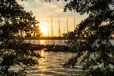 Güzel bir yaz günbatımı Hamburg, Almanya 'da bir yat limanının üzerindeki yaprakların arasından sakin sular ve siluetli tekneler sergileniyor..