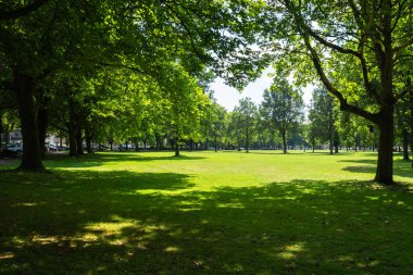 Almanya, Hamburg 'da sakin bir yeşil parkın güzelliğini keşfedin. Yazın rahatlamak ve rahatlamak için mükemmel bir yer..