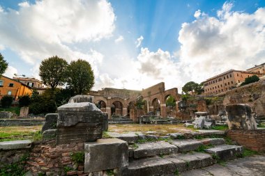 Roma 'daki büyüleyici antik harabeleri keşfedin. Nazik güneş ışığıyla aydınlatılan ve yemyeşil ile çevrili..