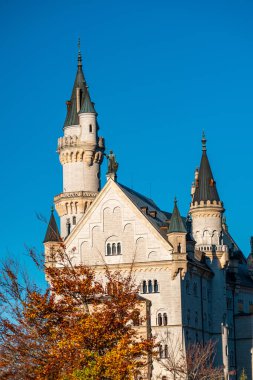 Neuschwanstein Şatosu 'nun büyüleyici güzelliğini canlı sonbahar yaprakları ve açık mavi gökyüzü arasında yakala..
