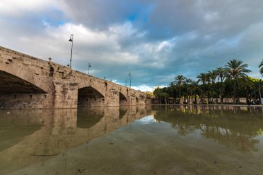 İspanya, Valencia 'da palmiye ağaçlarıyla çevrili sakin sulara yansıyan tarihi bir köprünün resimsel görüntüsü..