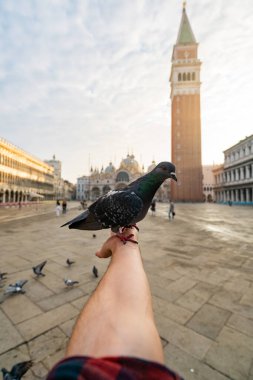 Venedik 'te sakin bir anı yakalayın. Bir elinde güvercin tüneği gibi. İkonik şehrin güzelliğini gözler önüne seriyor..