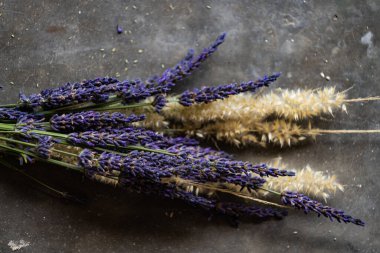 Provence 'ın doğal güzelliğini gösteren lavanta ve buğday saplarının çarpıcı bir görüntüsü. Çiçek ve organik temalı projeler için mükemmel..