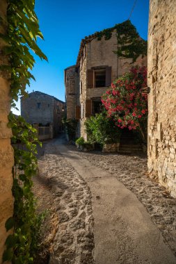 Fransa 'nın Provence şehrinde canlı çiçekler ve tarihi taş binalarla süslenmiş kırsal bir sokağın büyüleyici güzelliğini keşfedin..