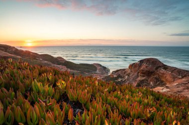 Portekiz, Peniche yakınlarındaki okyanus kıyısında canlı bir günbatımının güzelliğini yakalayın. Bereketli bitki örtüsü ve sakin suları aydınlatın..