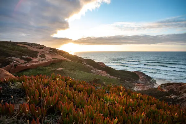 Peniche yakınlarındaki Portekiz 'in okyanus kıyısında canlı kıyı bitkilerinin çerçevelediği nefes kesici günbatımına tanık olun..