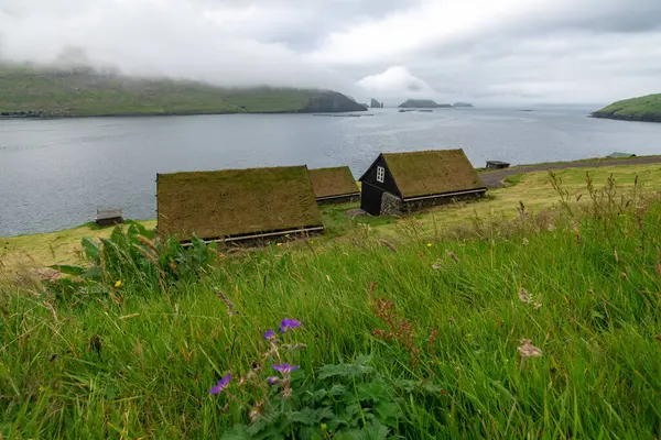 Faroe Adaları 'ndaki çimen çatılı geleneksel evlerin büyüleyici manzarası kasvetli bir yaz manzarasına karşı..