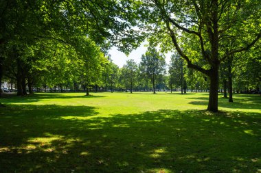 Hamburg 'da güzel bir yaz günü, güneş ışığı ve ağaçlarla dolu yemyeşil bir park sergileniyor. Açık hava ve doğa temalı projeler için mükemmel..