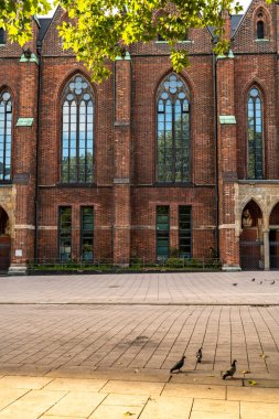 Almanya, Hamburg 'daki tarihi bir binanın büyüleyici bir görüntüsü. Karmaşık tuğla işçiliği ve yaz yeşilliği içeriyor..
