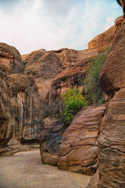 Eski bir şehir olan Petra 'nın Dünya Mirası Sahası' na giderken. Yüksek kalite fotoğraf