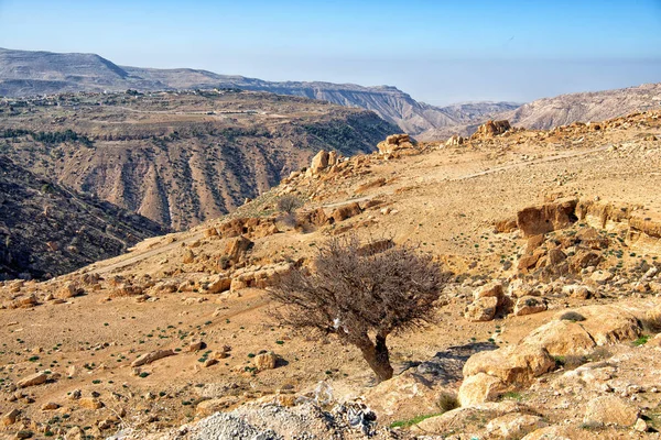 Jordans Para Interior Estrada Wadi Rum Para Mar Morto Foto — Fotografia de Stock