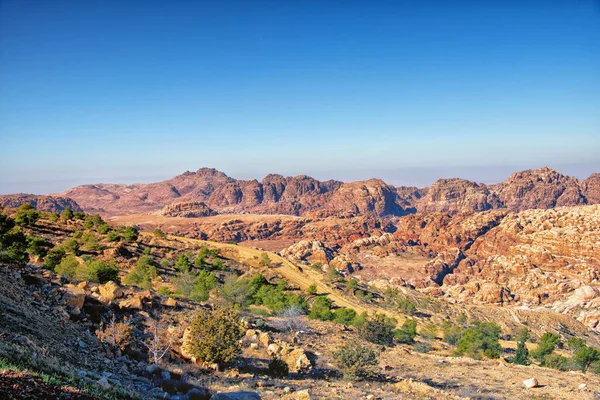 Jordanlılar iç kesimlerde, Petra 'dan Wadi Rum' a giden yolda. Yüksek kalite fotoğraf