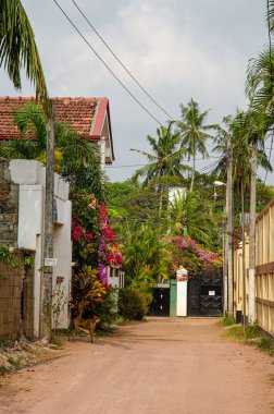 Negombo sokağı, Batı Sri Lanka. Yüksek kalite fotoğraf