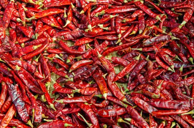 Acı biber, Sri Lanka 'da tipik baharat. Yüksek kalite fotoğraf