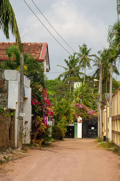 stock image The street of Negombo, Western Sri Lanka. High quality photo