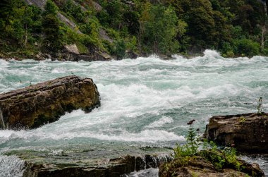 Beyaz Su Yürüyüşü. Niagara Nehri, Onterio, Kanada. Yüksek kalite fotoğraf