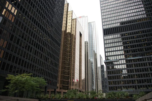 Toronto Downtown 'da inanılmaz gökdelenler var. Ontario, Kanada. Yüksek kalite fotoğraf