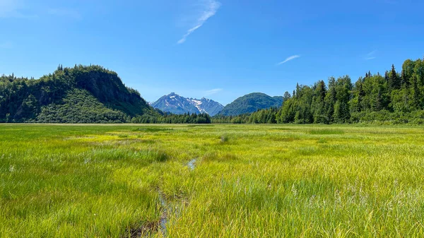 Ulusal Park Gölü 'ndeki Meadow Clark, Boz Ayılar bölgesi, Alaska. Yüksek kalite fotoğraf