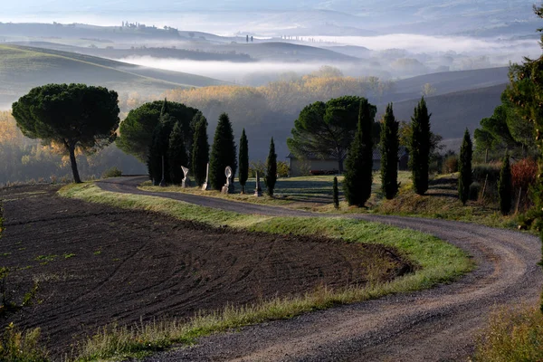 Pitoresque region Tuscany, the road to home, Italy. High quality photo