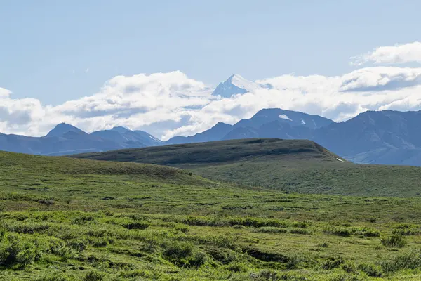 Scenic Mountains Denali Denali Nationaal Park Alaska Hoge Kwaliteit Foto — Stockfoto