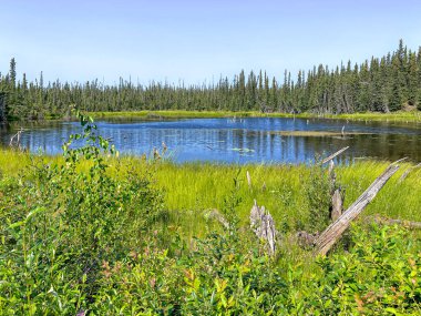 McCarthy yolu dışında isimsiz göl. Yüksek kalite fotoğraf