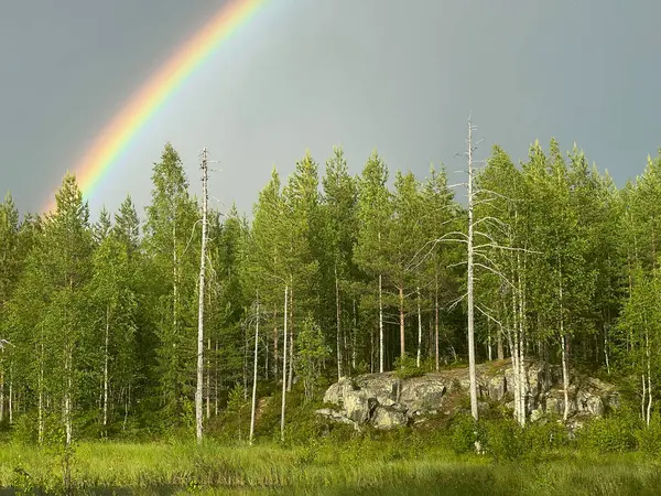 Fin Taiga 'sının üstündeki gökkuşağı, Ayı merkezine yakın. Yüksek kalite fotoğraf