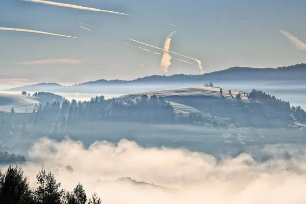 Vadide puslu bir sabah. Pieniny - Pieniny Millî Parkı, Polonya 'nın güneyinde ve Slovakya' nın kuzeyinde bulunan bir sıradağdır. Yüksek kalite fotoğraf