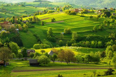 Slovakya 'nın Hrinova kenti yakınlarındaki Slovak Ore Dağları bölgesinde yeşil çayırlar ve ağaçların üzerinde renkli bir gün doğumu. Yüksek kalite fotoğraf
