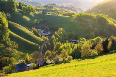 Güzel bir manzara, Slovakya 'nın Banska Bystrica bölgesinde Kokava nad Rimavicou' da yeşil çayırlar ve ağaçların üzerinde renkli bir gün doğumu. Yüksek kalite fotoğraf