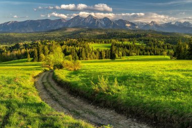 Güzel manzara, tarlanın üzerinde renkli günbatımı, Lapszanka 'da yeşil çayırlar ve ağaçlar, Tatras' ın arkasında, Polonya. Yüksek kalite fotoğraf