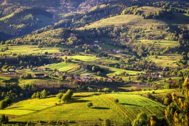 Güzel bir manzara, Slovakya 'nın Zilina bölgesindeki Jasenovo tepelerindeki yeşil çayırlar ve ağaçların üzerinde renkli bir gün batımı. Yüksek kalite fotoğraf
