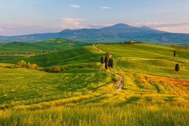 Val d 'Orcia tepelerinde patikalı bahar manzarası