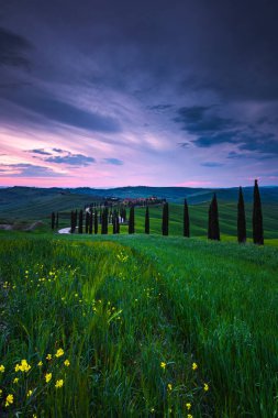 Tuscany 'de bahar mevsiminde çiçeklerle kaplı manzara, Val d' Orcia