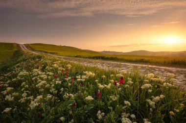 Val d 'Orcia tepelerinde patikalı bahar manzarası