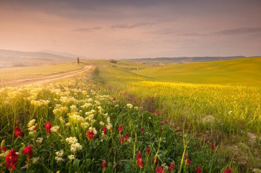 Val d 'Orcia tepelerinde patikalı bahar manzarası