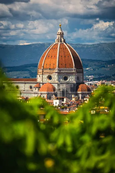 피렌체의 위에서 수있는 Brunelleschi 나무에 숨겨진 — 스톡 사진