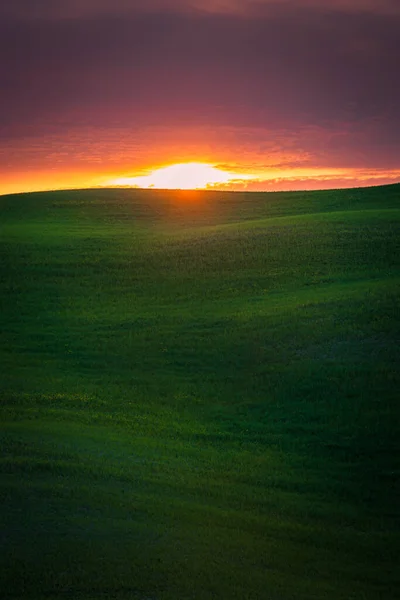 Schöner Hügel Der Toskana Bei Sonnenuntergang — Stockfoto