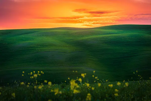 Прекрасний Пагорб Тоскані Заході Сонця — стокове фото