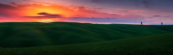 Prachtige Heuvel Toscane Bij Zonsondergang — Stockfoto