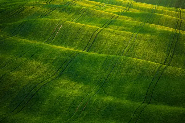 Groene Landschap Heuvels Toscane Italië — Stockfoto