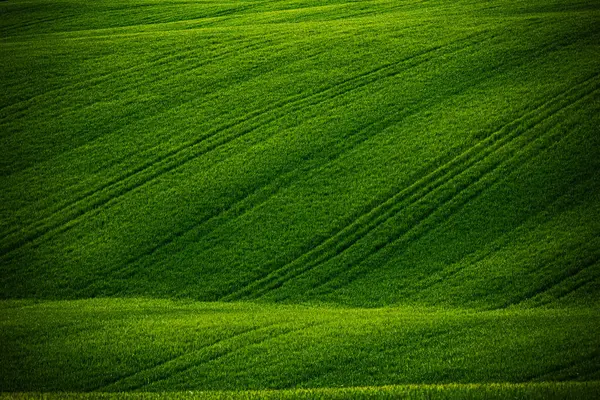 Zöld Táj Dombok Toszkánában Olaszország — Stock Fotó