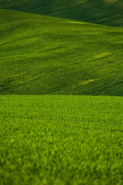 Grüne Hügel Der Toskana Italien — Stockfoto